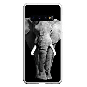 Чехол для Samsung Galaxy S10 с принтом Слон в Санкт-Петербурге, Силикон | Область печати: задняя сторона чехла, без боковых панелей | Тематика изображения на принте: africa | big | black   white | elephant is an animal | shroud | tusks | африка | бивни | большой | животное | идет | савана | слон | черно   белый