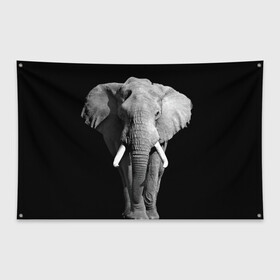 Флаг-баннер с принтом Слон в Санкт-Петербурге, 100% полиэстер | размер 67 х 109 см, плотность ткани — 95 г/м2; по краям флага есть четыре люверса для крепления | africa | big | black   white | elephant is an animal | shroud | tusks | африка | бивни | большой | животное | идет | савана | слон | черно   белый