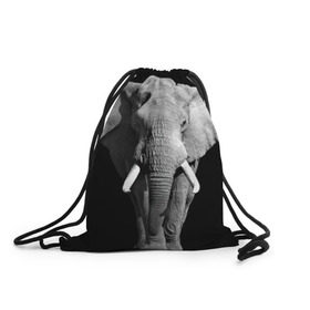 Рюкзак-мешок 3D с принтом Слон в Санкт-Петербурге, 100% полиэстер | плотность ткани — 200 г/м2, размер — 35 х 45 см; лямки — толстые шнурки, застежка на шнуровке, без карманов и подкладки | africa | big | black   white | elephant is an animal | shroud | tusks | африка | бивни | большой | животное | идет | савана | слон | черно   белый