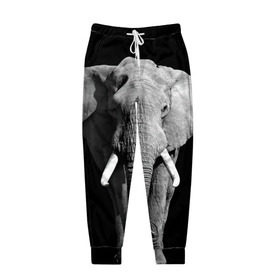 Мужские брюки 3D с принтом Слон в Санкт-Петербурге, 100% полиэстер | манжеты по низу, эластичный пояс регулируется шнурком, по бокам два кармана без застежек, внутренняя часть кармана из мелкой сетки | africa | big | black   white | elephant is an animal | shroud | tusks | африка | бивни | большой | животное | идет | савана | слон | черно   белый