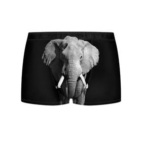 Мужские трусы 3D с принтом Слон в Санкт-Петербурге, 50% хлопок, 50% полиэстер | классическая посадка, на поясе мягкая тканевая резинка | africa | big | black   white | elephant is an animal | shroud | tusks | африка | бивни | большой | животное | идет | савана | слон | черно   белый