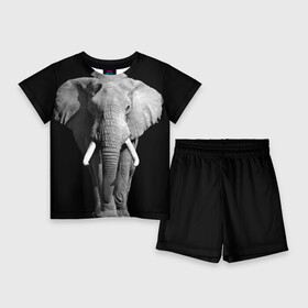 Детский костюм с шортами 3D с принтом Слон в Санкт-Петербурге,  |  | africa | big | black   white | elephant is an animal | shroud | tusks | африка | бивни | большой | животное | идет | савана | слон | черно   белый