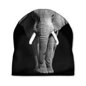 Шапка 3D с принтом Слон в Санкт-Петербурге, 100% полиэстер | универсальный размер, печать по всей поверхности изделия | africa | big | black   white | elephant is an animal | shroud | tusks | африка | бивни | большой | животное | идет | савана | слон | черно   белый