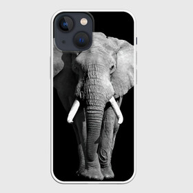 Чехол для iPhone 13 mini с принтом Слон в Санкт-Петербурге,  |  | africa | big | black   white | elephant is an animal | shroud | tusks | африка | бивни | большой | животное | идет | савана | слон | черно   белый