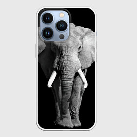 Чехол для iPhone 13 Pro с принтом Слон в Санкт-Петербурге,  |  | Тематика изображения на принте: africa | big | black   white | elephant is an animal | shroud | tusks | африка | бивни | большой | животное | идет | савана | слон | черно   белый