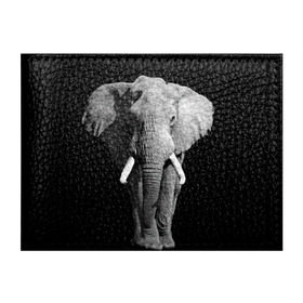 Обложка для студенческого билета с принтом Слон в Санкт-Петербурге, натуральная кожа | Размер: 11*8 см; Печать на всей внешней стороне | Тематика изображения на принте: africa | big | black   white | elephant is an animal | shroud | tusks | африка | бивни | большой | животное | идет | савана | слон | черно   белый