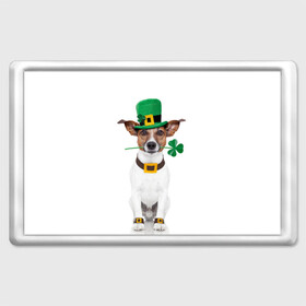 Магнит 45*70 с принтом Ирландия в Санкт-Петербурге, Пластик | Размер: 78*52 мм; Размер печати: 70*45 | animal | breed | clover | dog | folk | fun | funny | hat | hero | ireland | irish | saint patrick | герой | животное | ирландия | ирландский | клевер | народный | порода | прикол | святой патрик | собака | шляпа | шутка
