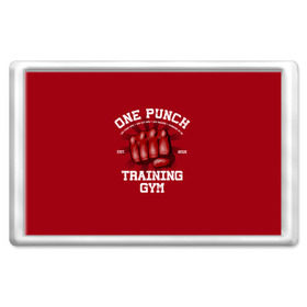 Магнит 45*70 с принтом One Punch Gym в Санкт-Петербурге, Пластик | Размер: 78*52 мм; Размер печати: 70*45 | boxing | combat | fight | fighter | kickboxing | muay thai | wrestling | боец | бой | бокс | боксер | драка | кикбоксинг | май тай