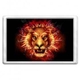 Магнит 45*70 с принтом Огненный лев в Санкт-Петербурге, Пластик | Размер: 78*52 мм; Размер печати: 70*45 | animal | fire | flame | head | lion | look | predator | взгляд | голова | животное | лев | огненный | огонь | пламя | хищник