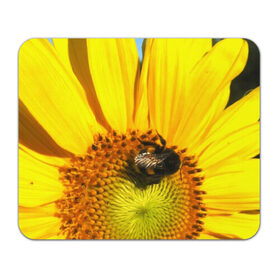 Коврик прямоугольный с принтом пчела на подсолнухе в Санкт-Петербурге, натуральный каучук | размер 230 х 185 мм; запечатка лицевой стороны | лето | насекомое | подсолнух | пчела