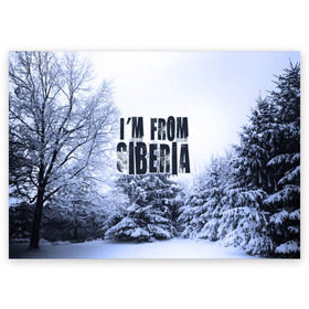 Поздравительная открытка с принтом Я из Сибири в Санкт-Петербурге, 100% бумага | плотность бумаги 280 г/м2, матовая, на обратной стороне линовка и место для марки
 | siberia | зима | россия | сибирь | снег | холод