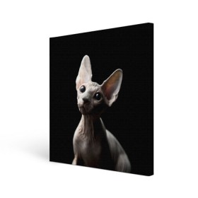 Холст квадратный с принтом Сфинкс в Санкт-Петербурге, 100% ПВХ |  | Тематика изображения на принте: black | cat | взгляд | кот | котик | котэ | кошка | сфинкс | уши | черный
