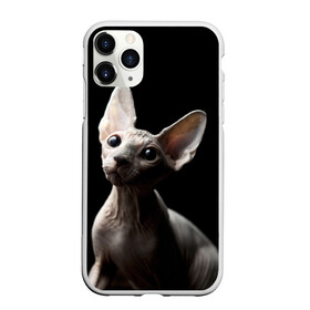 Чехол для iPhone 11 Pro матовый с принтом Сфинкс в Санкт-Петербурге, Силикон |  | black | cat | взгляд | кот | котик | котэ | кошка | сфинкс | уши | черный