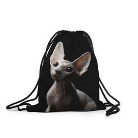 Рюкзак-мешок 3D с принтом Сфинкс в Санкт-Петербурге, 100% полиэстер | плотность ткани — 200 г/м2, размер — 35 х 45 см; лямки — толстые шнурки, застежка на шнуровке, без карманов и подкладки | black | cat | взгляд | кот | котик | котэ | кошка | сфинкс | уши | черный
