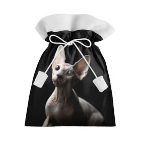 Подарочный 3D мешок с принтом Сфинкс в Санкт-Петербурге, 100% полиэстер | Размер: 29*39 см | Тематика изображения на принте: black | cat | взгляд | кот | котик | котэ | кошка | сфинкс | уши | черный