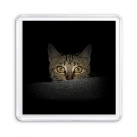 Магнит 55*55 с принтом Котик в Санкт-Петербурге, Пластик | Размер: 65*65 мм; Размер печати: 55*55 мм | животные | кот | котенок | котик | кошка