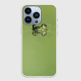 Чехол для iPhone 13 Pro с принтом Лягушка в Санкт-Петербурге,  |  | болото | жаба | животные | лягушка