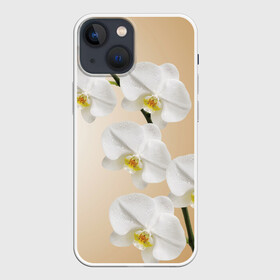 Чехол для iPhone 13 mini с принтом Orhid в Санкт-Петербурге,  |  | Тематика изображения на принте: девушки | красота | орхидея | прелесть | цветы