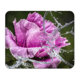 Коврик прямоугольный с принтом Душа цветов в Санкт-Петербурге, натуральный каучук | размер 230 х 185 мм; запечатка лицевой стороны | бабочка | букет | вода | девушки | душа | красота | прелесть | роза | розы | цветы