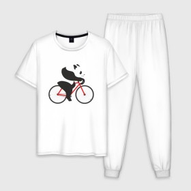 Мужская пижама хлопок с принтом Панда на велосипеде в Санкт-Петербурге, 100% хлопок | брюки и футболка прямого кроя, без карманов, на брюках мягкая резинка на поясе и по низу штанин
 | велик | велосипед | медведь | мишка | панда