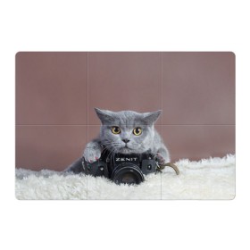 Магнитный плакат 3Х2 с принтом Котик фотограф в Санкт-Петербурге, Полимерный материал с магнитным слоем | 6 деталей размером 9*9 см | кот | котик | кошка | объектив | фотоаппарат | фотограф