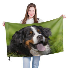 Флаг 3D с принтом Бернский зенненхунд в Санкт-Петербурге, 100% полиэстер | плотность ткани — 95 г/м2, размер — 67 х 109 см. Принт наносится с одной стороны | волкодав | дворняжка | домашние животные | любимец | мопс | овчарка | пес | песик | питомец | сенбернар | собака | собачка