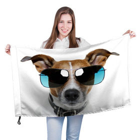 Флаг 3D с принтом Джек Рассел в очках в Санкт-Петербурге, 100% полиэстер | плотность ткани — 95 г/м2, размер — 67 х 109 см. Принт наносится с одной стороны | волкодав | дворняжка | джек | джек рассел | домашние животные | любимец | мопс | овчарка | пес | песик | питомец | рассел | сенбернар | собака | собачка
