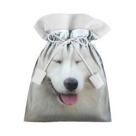 Подарочный 3D мешок с принтом Самоед в Санкт-Петербурге, 100% полиэстер | Размер: 29*39 см | Тематика изображения на принте: далматин | лабрадор | любимец | овчарка | пес | питомец | самоед | собака | собачка | щенок