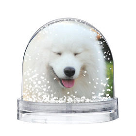 Снежный шар с принтом Самоед в Санкт-Петербурге, Пластик | Изображение внутри шара печатается на глянцевой фотобумаге с двух сторон | далматин | лабрадор | любимец | овчарка | пес | питомец | самоед | собака | собачка | щенок