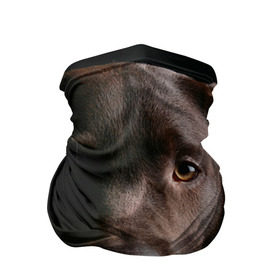 Бандана-труба 3D с принтом Лабрадор в Санкт-Петербурге, 100% полиэстер, ткань с особыми свойствами — Activecool | плотность 150‒180 г/м2; хорошо тянется, но сохраняет форму | далматин | далматинец | дворняга | лабрадор | любимец | овчарка | пес | питомец | самоед | собака | собачка | щенок