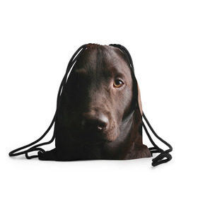 Рюкзак-мешок 3D с принтом Лабрадор в Санкт-Петербурге, 100% полиэстер | плотность ткани — 200 г/м2, размер — 35 х 45 см; лямки — толстые шнурки, застежка на шнуровке, без карманов и подкладки | далматин | далматинец | дворняга | лабрадор | любимец | овчарка | пес | питомец | самоед | собака | собачка | щенок