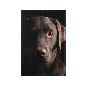 Обложка для паспорта матовая кожа с принтом Лабрадор в Санкт-Петербурге, натуральная матовая кожа | размер 19,3 х 13,7 см; прозрачные пластиковые крепления | далматин | далматинец | дворняга | лабрадор | любимец | овчарка | пес | питомец | самоед | собака | собачка | щенок