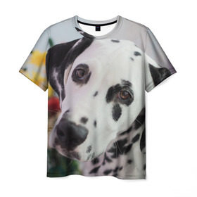 Мужская футболка 3D с принтом Далматин в Санкт-Петербурге, 100% полиэфир | прямой крой, круглый вырез горловины, длина до линии бедер | акита | акита ину | далматин | далматинец | дворняга | ину | лабрадор | любимец | овчарка | пес | питомец | самоед | сиба | сиба ину | собака | собачка | щенок