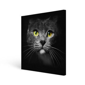 Холст квадратный с принтом Кошачий взгляд в Санкт-Петербурге, 100% ПВХ |  | Тематика изображения на принте: взгляд | взор | глаза | киска | кот | котёнок | кошка | усы