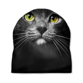 Шапка 3D с принтом Кошачий взгляд в Санкт-Петербурге, 100% полиэстер | универсальный размер, печать по всей поверхности изделия | взгляд | взор | глаза | киска | кот | котёнок | кошка | усы