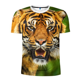 Мужская футболка 3D спортивная с принтом Тигр в Санкт-Петербурге, 100% полиэстер с улучшенными характеристиками | приталенный силуэт, круглая горловина, широкие плечи, сужается к линии бедра | Тематика изображения на принте: дикая кошка | животное | клыки | лев | тигр. tiger | хищник