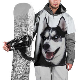 Накидка на куртку 3D с принтом Сибирский хаски в Санкт-Петербурге, 100% полиэстер |  | взгляд | голубые глаза | зима | сибирь | снег | собака | хаски | хаски бандит | холод