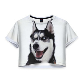 Женская футболка 3D укороченная с принтом Сибирский хаски в Санкт-Петербурге, 100% полиэстер | круглая горловина, длина футболки до линии талии, рукава с отворотами | взгляд | голубые глаза | зима | сибирь | снег | собака | хаски | хаски бандит | холод