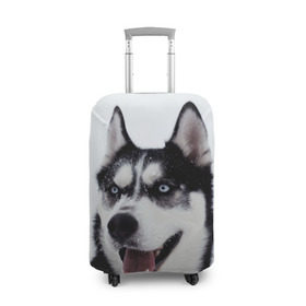 Чехол для чемодана 3D с принтом Сибирский хаски в Санкт-Петербурге, 86% полиэфир, 14% спандекс | двустороннее нанесение принта, прорези для ручек и колес | взгляд | голубые глаза | зима | сибирь | снег | собака | хаски | хаски бандит | холод