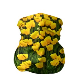 Бандана-труба 3D с принтом Жёлтые тюльпаны в Санкт-Петербурге, 100% полиэстер, ткань с особыми свойствами — Activecool | плотность 150‒180 г/м2; хорошо тянется, но сохраняет форму | Тематика изображения на принте: поле | цветы | яркий