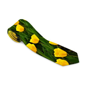 Галстук 3D с принтом Жёлтые тюльпаны в Санкт-Петербурге, 100% полиэстер | Длина 148 см; Плотность 150-180 г/м2 | Тематика изображения на принте: поле | цветы | яркий