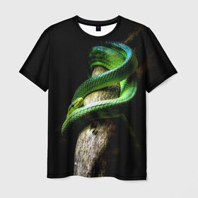 Мужская футболка 3D с принтом Змея на груди в Санкт-Петербурге, 100% полиэфир | прямой крой, круглый вырез горловины, длина до линии бедер | гадюка | дерево | джунгли | зелёный змей | змея | кобра | природа | удав