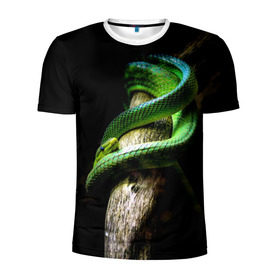 Мужская футболка 3D спортивная с принтом Змея на груди в Санкт-Петербурге, 100% полиэстер с улучшенными характеристиками | приталенный силуэт, круглая горловина, широкие плечи, сужается к линии бедра | гадюка | дерево | джунгли | зелёный змей | змея | кобра | природа | удав