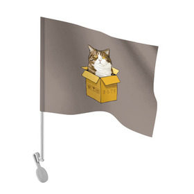 Флаг для автомобиля с принтом Maru в Санкт-Петербурге, 100% полиэстер | Размер: 30*21 см | cat | maru | коробка | кот в коробке | кот мару | котейка | кошка | мару | прикол