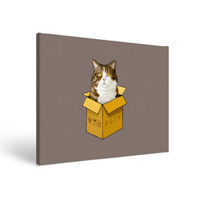Холст прямоугольный с принтом Maru в Санкт-Петербурге, 100% ПВХ |  | Тематика изображения на принте: cat | maru | коробка | кот в коробке | кот мару | котейка | кошка | мару | прикол