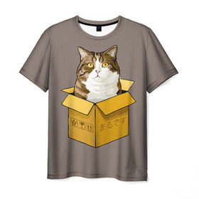 Мужская футболка 3D с принтом Maru в Санкт-Петербурге, 100% полиэфир | прямой крой, круглый вырез горловины, длина до линии бедер | cat | maru | коробка | кот в коробке | кот мару | котейка | кошка | мару | прикол