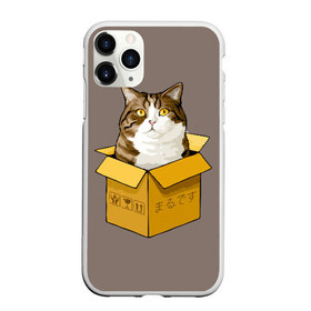 Чехол для iPhone 11 Pro матовый с принтом Maru в Санкт-Петербурге, Силикон |  | cat | maru | коробка | кот в коробке | кот мару | котейка | кошка | мару | прикол