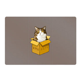 Магнитный плакат 3Х2 с принтом Maru в Санкт-Петербурге, Полимерный материал с магнитным слоем | 6 деталей размером 9*9 см | cat | maru | коробка | кот в коробке | кот мару | котейка | кошка | мару | прикол