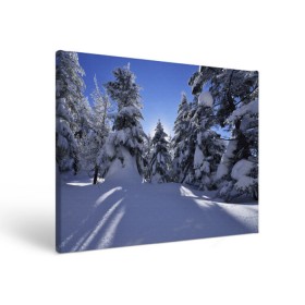 Холст прямоугольный с принтом Зимний лес в Санкт-Петербурге, 100% ПВХ |  | Тематика изображения на принте: времена года | ель | зима | леса | лучи света | природа | снег