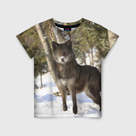 Детская футболка 3D с принтом Король леса в Санкт-Петербурге, 100% гипоаллергенный полиэфир | прямой крой, круглый вырез горловины, длина до линии бедер, чуть спущенное плечо, ткань немного тянется | волки | животные | зима | зимние | картинки | снег | фото